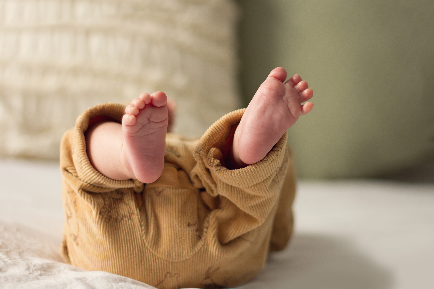 premier-best-photographer-cape-town-newborn-2026-2528