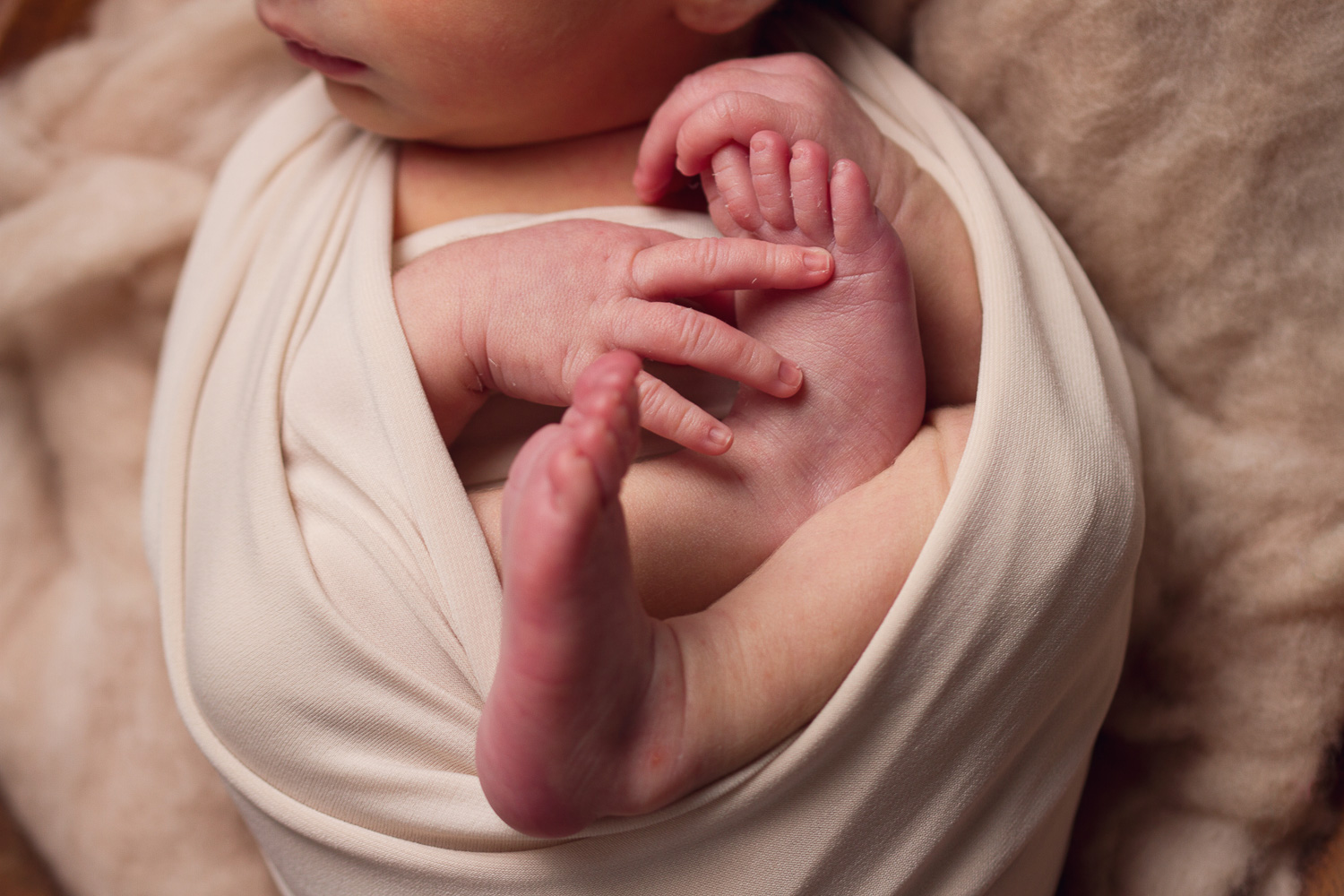 premier-best-photographer-cape-town-newborn-2026-4055